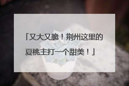 又大又脆！荆州这里的夏桃主打一个甜美！