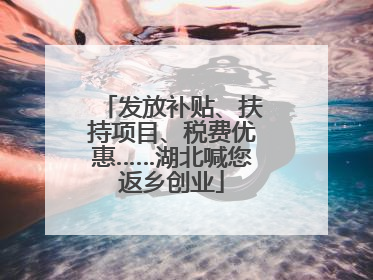 发放补贴、扶持项目、税费优惠……湖北喊您返乡创业
