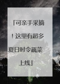 可亲手采摘！这里有超多夏日时令蔬菜上线