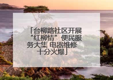 台柳路社区开展“红柳情”便民服务大集 电器维修十分火爆