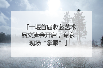 十堰首届收藏艺术品交流会开启，专家现场“掌眼”