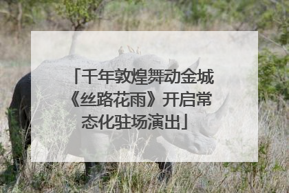 千年敦煌舞动金城《丝路花雨》开启常态化驻场演出