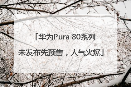 华为Pura 80系列未发布先预售，人气火爆