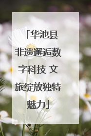 华池县 非遗邂逅数字科技 文旅绽放独特魅力