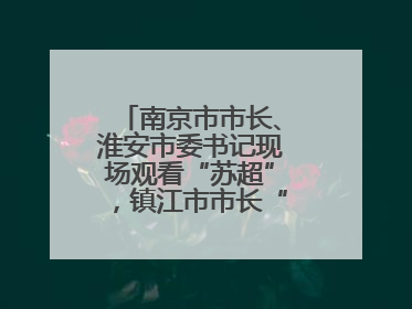 南京市市长、淮安市委书记现场观看“苏超”，镇江市市长“探班”球员