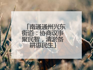 南通通州兴东街道：协商议事聚民智，清淤备耕惠民生