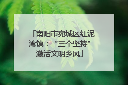 南阳市宛城区红泥湾镇：“三个坚持”激活文明乡风