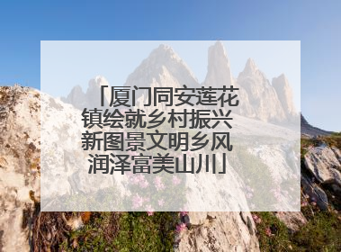 厦门同安莲花镇绘就乡村振兴新图景文明乡风润泽富美山川
