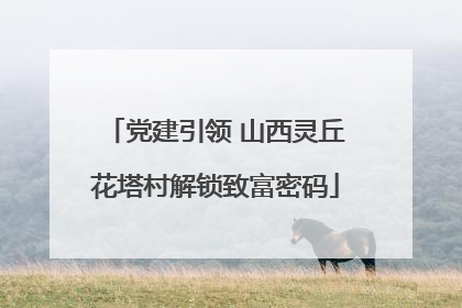 党建引领 山西灵丘花塔村解锁致富密码