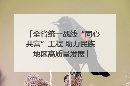 全省统一战线“同心共富”工程 助力民族地区高质量发展