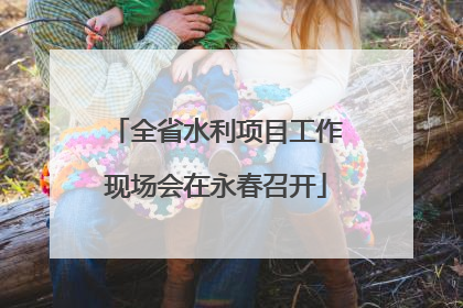 全省水利项目工作现场会在永春召开