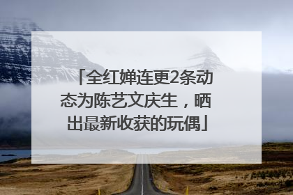 全红婵连更2条动态为陈艺文庆生，晒出最新收获的玩偶