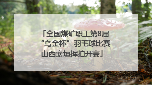 全国煤矿职工第8届“乌金杯”羽毛球比赛山西襄垣挥拍开赛