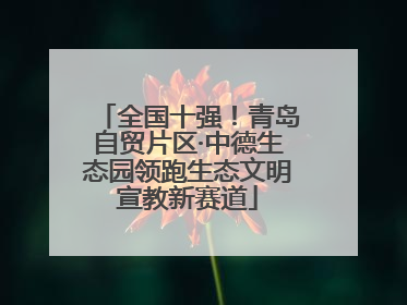 全国十强！青岛自贸片区·中德生态园领跑生态文明宣教新赛道