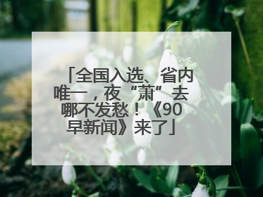 全国入选、省内唯一，夜“萧”去哪不发愁！《90早新闻》来了