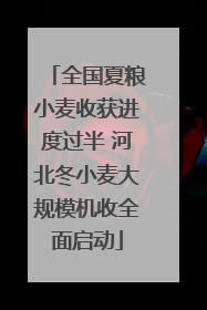 全国夏粮小麦收获进度过半 河北冬小麦大规模机收全面启动