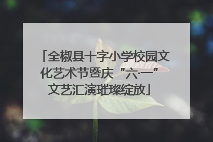 全椒县十字小学校园文化艺术节暨庆“六·一”文艺汇演璀璨绽放