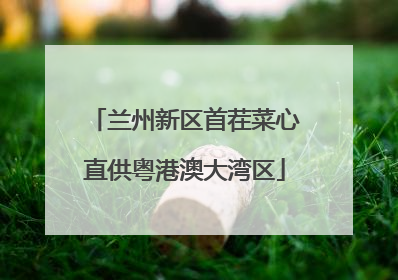 兰州新区首茬菜心直供粤港澳大湾区