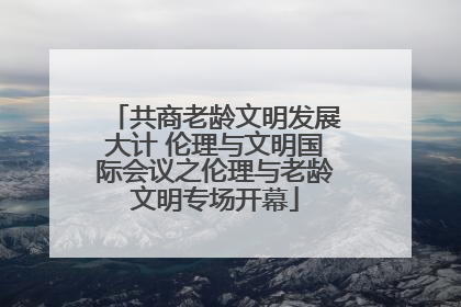 共商老龄文明发展大计 伦理与文明国际会议之伦理与老龄文明专场开幕