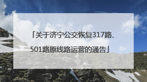 关于济宁公交恢复317路、501路原线路运营的通告