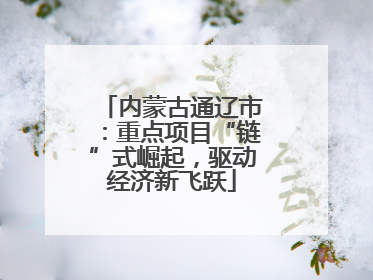 内蒙古通辽市：重点项目“链”式崛起，驱动经济新飞跃