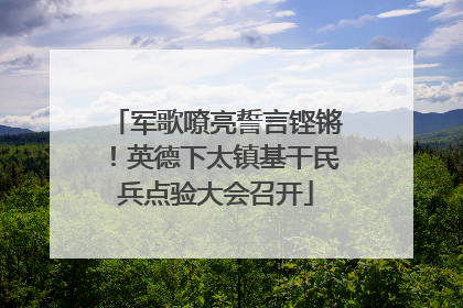 军歌嘹亮誓言铿锵！英德下太镇基干民兵点验大会召开