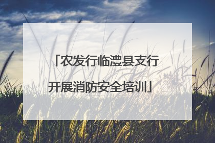 农发行临澧县支行开展消防安全培训