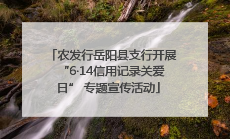 农发行岳阳县支行开展“6·14信用记录关爱日” 专题宣传活动