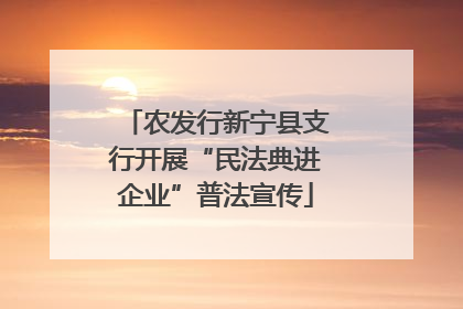 农发行新宁县支行开展“民法典进企业”普法宣传