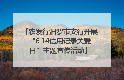 农发行汨罗市支行开展“6·14信用记录关爱日”主题宣传活动