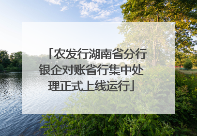 农发行湖南省分行银企对账省行集中处理正式上线运行