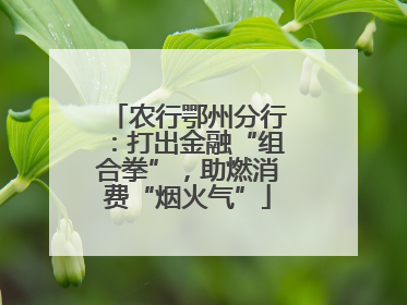 农行鄂州分行：打出金融“组合拳”，助燃消费“烟火气”