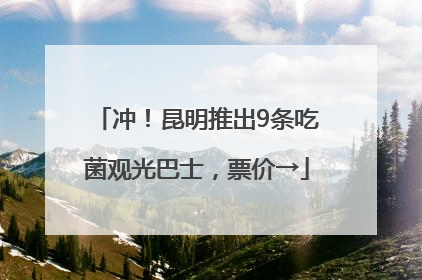 冲！昆明推出9条吃菌观光巴士，票价→
