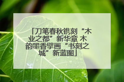 刀笔春秋镌刻“木业之都”新华章 木韵墨香擘画“书刻之城”新蓝图