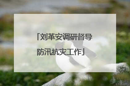 刘革安调研督导防汛抗灾工作