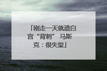 刚走一天就遭白宫“背刺” 马斯克：很失望