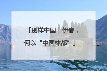 别样中国丨伊春，何以“中国林都”