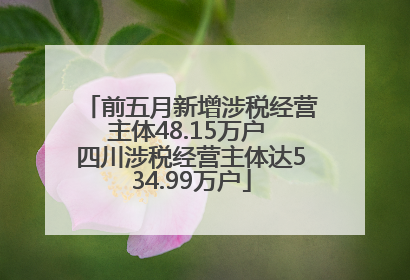 前五月新增涉税经营主体48.15万户 四川涉税经营主体达534.99万户
