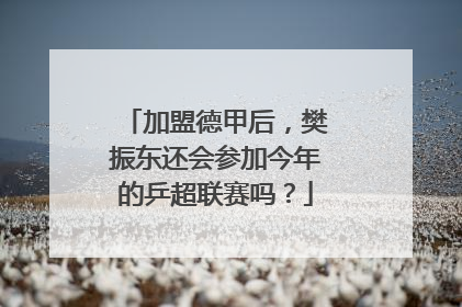 加盟德甲后，樊振东还会参加今年的乒超联赛吗？