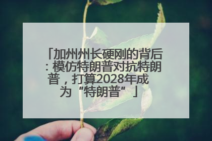 加州州长硬刚的背后：模仿特朗普对抗特朗普，打算2028年成为“特朗普”