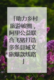 助力乡村旅游破圈，阿里公益联合飞猪打造多条县域文旅爆款线路