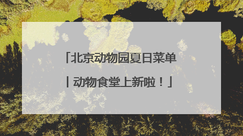 北京动物园夏日菜单丨动物食堂上新啦！
