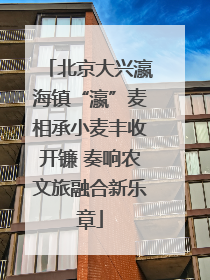 北京大兴瀛海镇“瀛”麦相承小麦丰收开镰 奏响农文旅融合新乐章