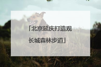 北京延庆打造观长城森林步道