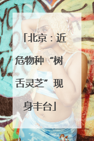北京：近危物种“树舌灵芝”现身丰台