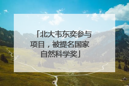 北大韦东奕参与项目，被提名国家自然科学奖