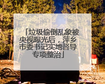 垃圾偷倒乱象被央视曝光后，萍乡市委书记实地督导专项整治