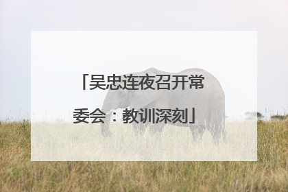 吴忠连夜召开常委会：教训深刻