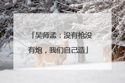 吴师孟：没有枪没有炮，我们自己造