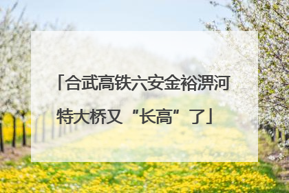合武高铁六安金裕淠河特大桥又“长高”了